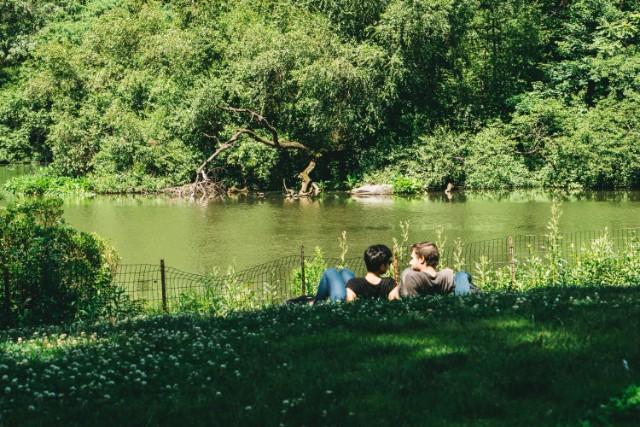 two men sitting on grass field